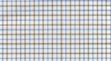 E4342 - 100% cotton, medium weight, White with a Blue and Fawn check